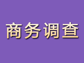 泗阳商务调查